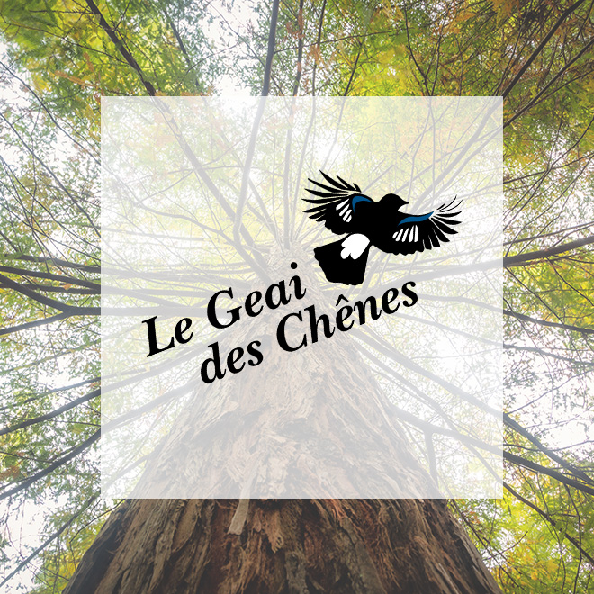 Quand Vittel se targue de replanter des arbres...