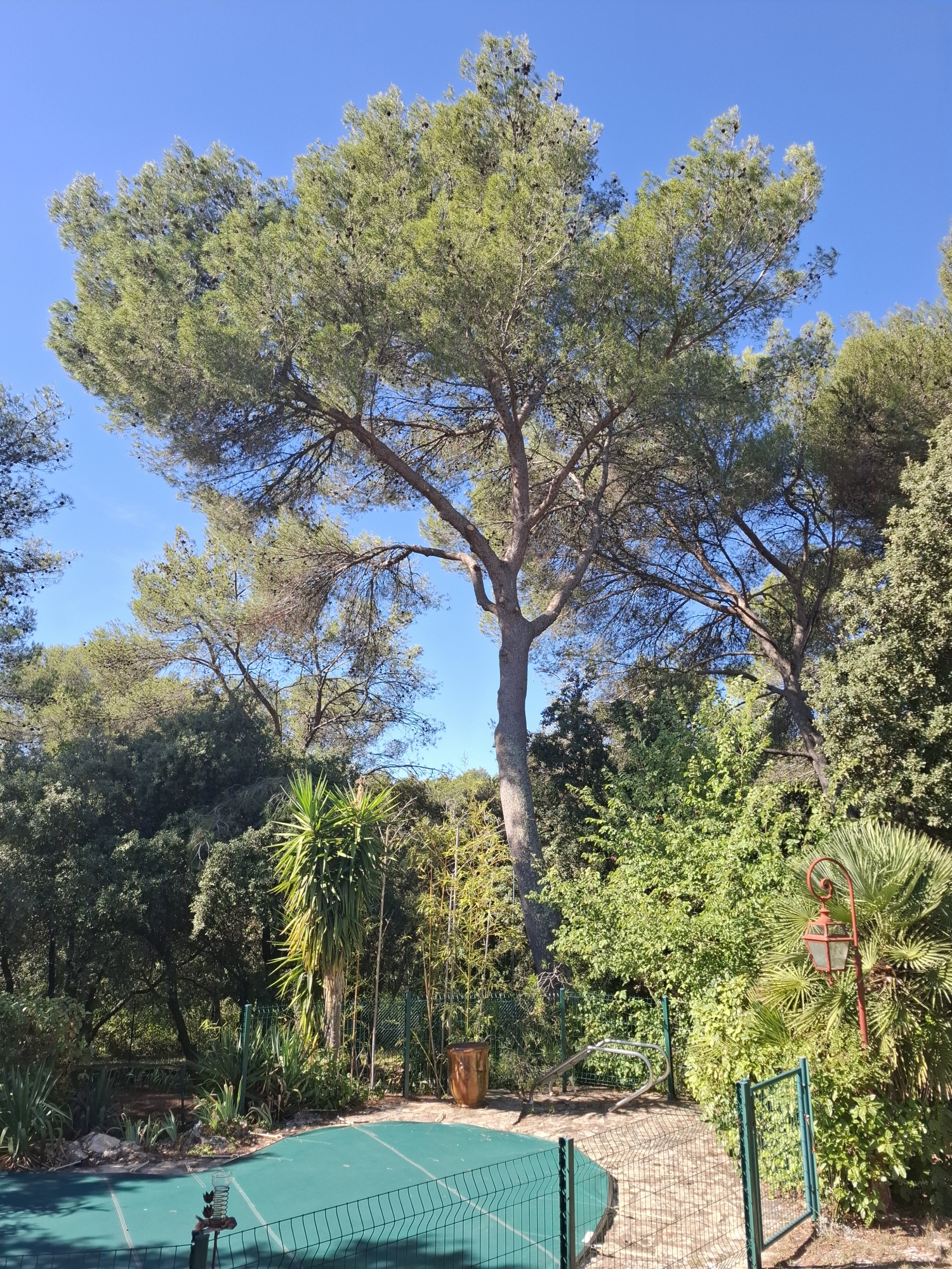 Photo Après