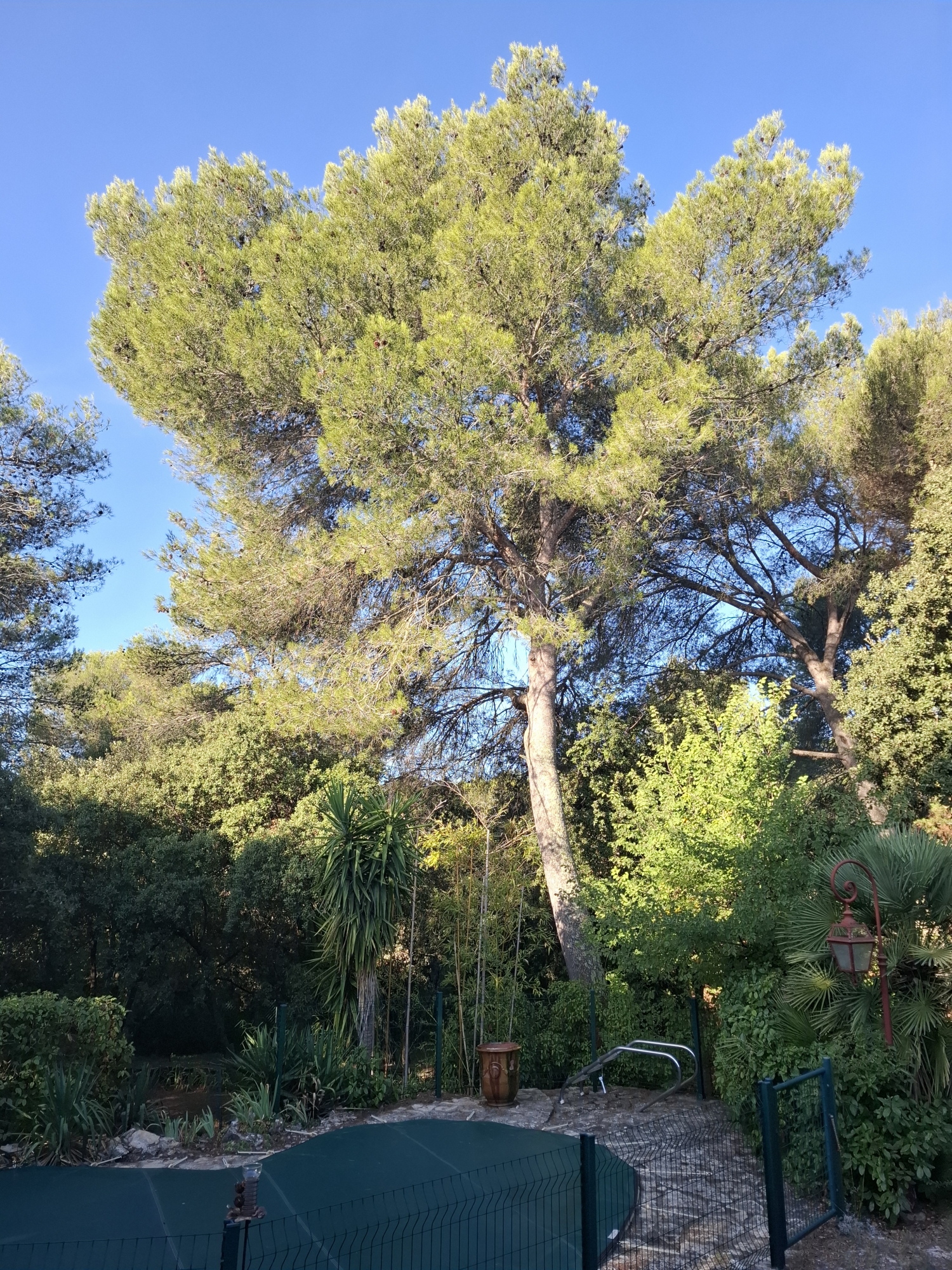 Photo Avant